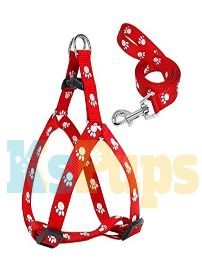 KsPups Nylon Adjustable Leash with Harness Set Printed Nylon Puppy Harness for Small & Medium Dogs Colour May Vary (0.5 INCH), Multicoloured - Image 4